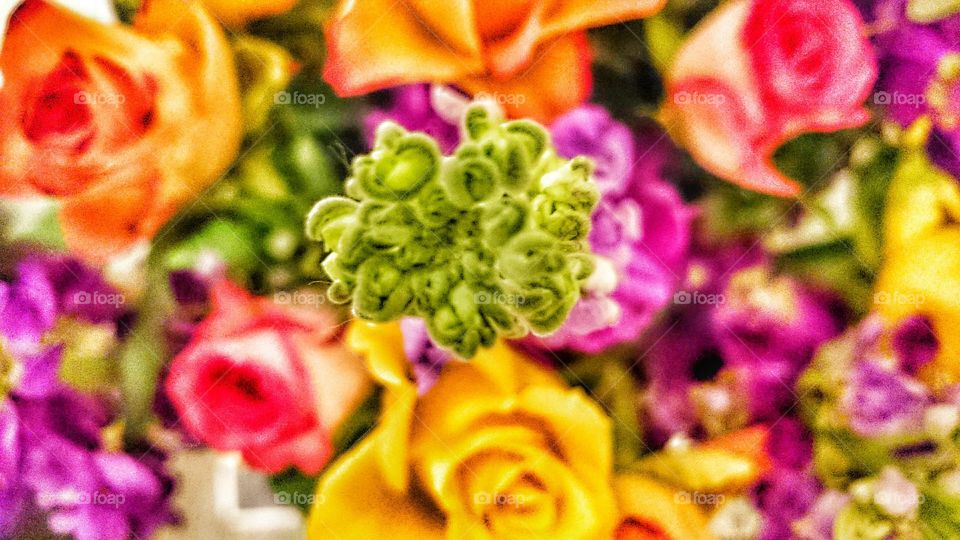 rise above them. bunch of beautiful flowers 