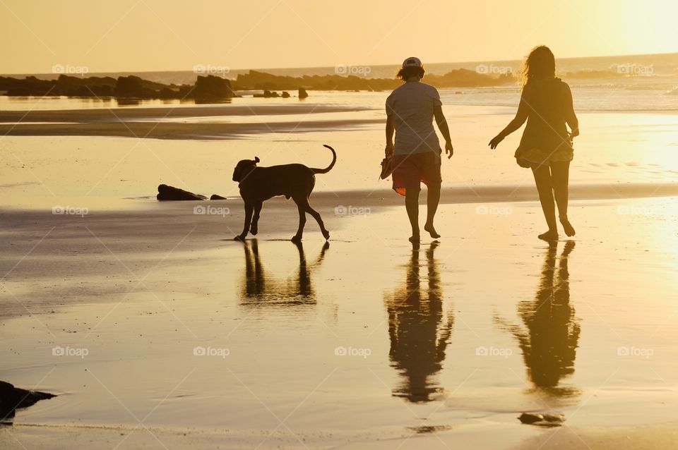 Women and dog walking on the beach at sunset 