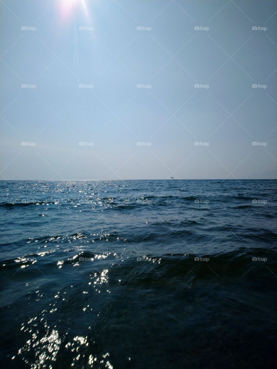 Water, sea, summer, sky