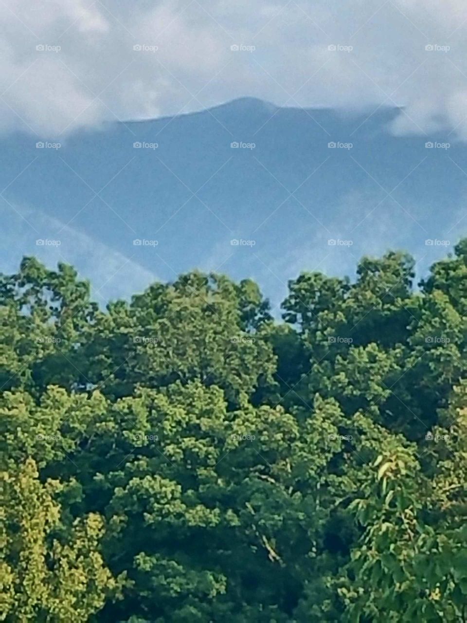 Smokey mountain view