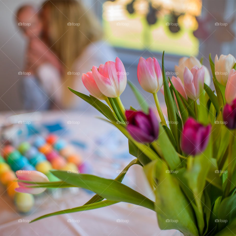 Tulip, Easter, Flower, No Person, Nature