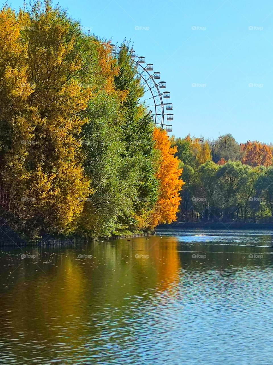 Autumn in the park.  River.  Multicolored autumn trees.  Ferris wheel attraction.  Reflection in water