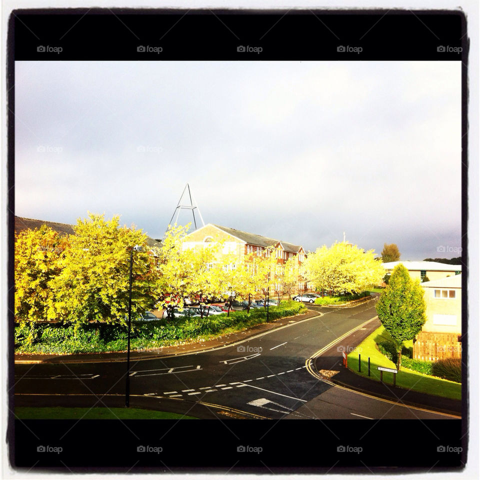 england fall autumn harrogate by ggrigorova