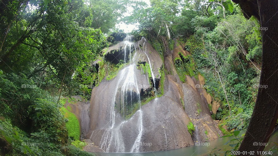 Trabalho da natureza