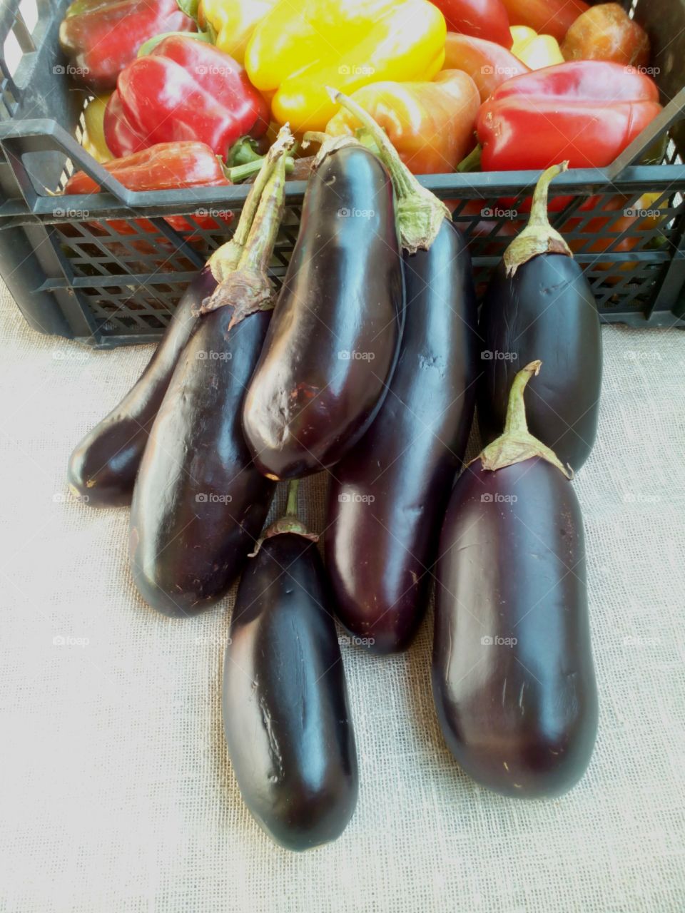 eggplants harvest