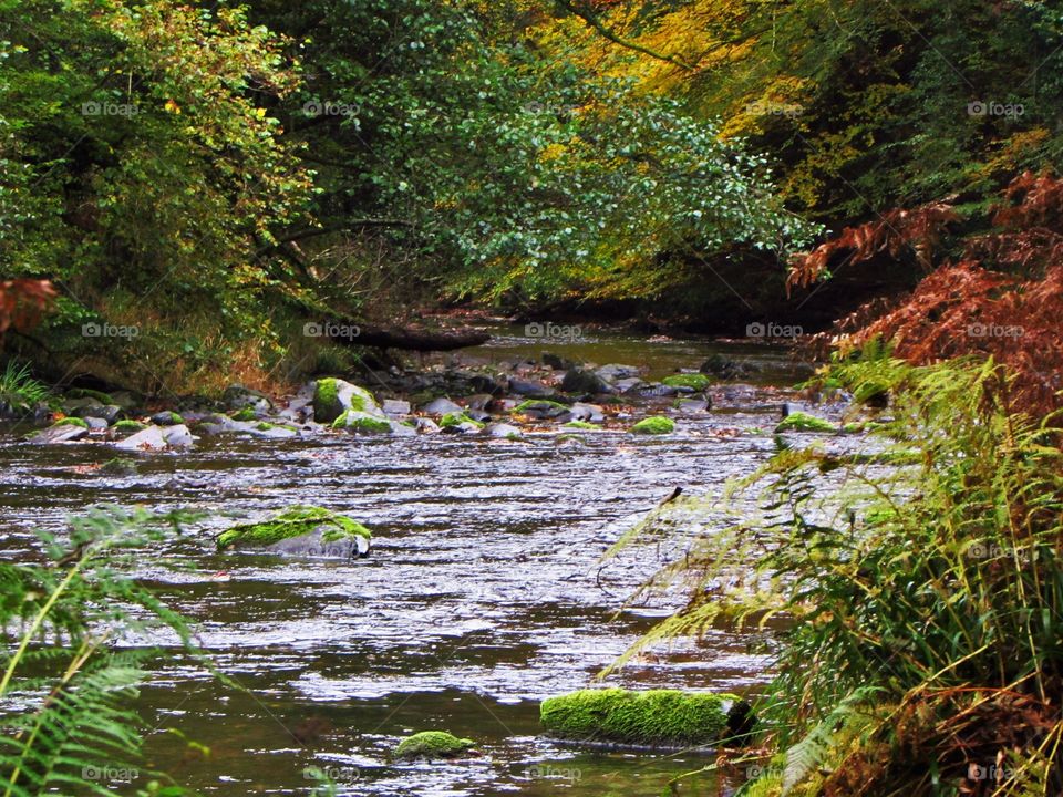 River barle in england