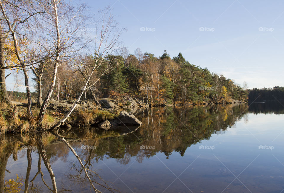 Reflection of autumn trees in lake