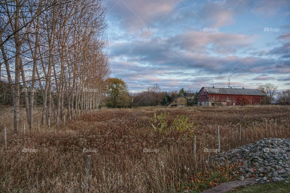 Autumn Farm Scene