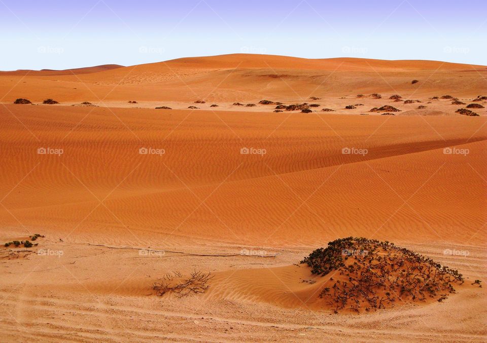Small red dunes of dry Namib desert in Namibia near Swakopmund