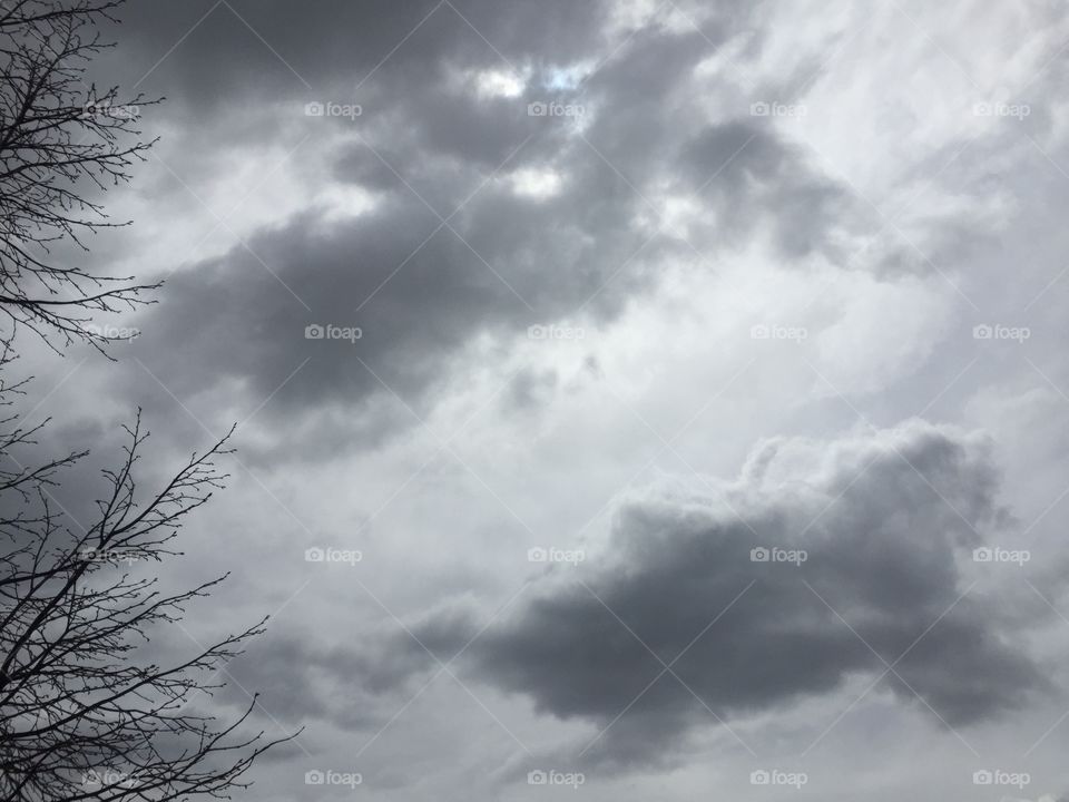 Tree, Branches, Nature, Stormy Weather, Sunshine in Rain. Sun Peeking Through The Clouds. 