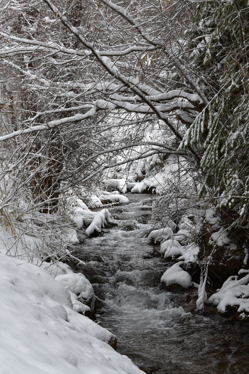 Winter stream winding though a snowy landscape