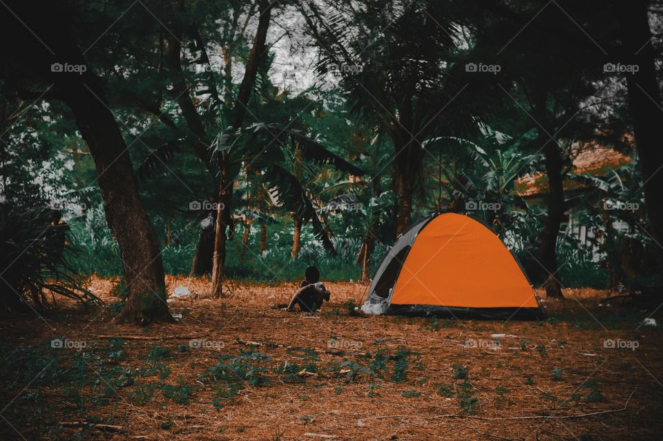 Yellow tent between trees