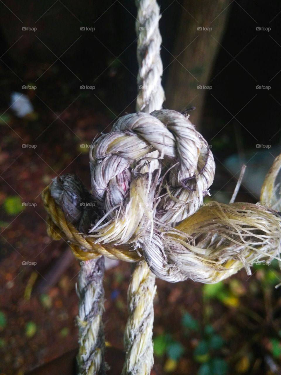rope click from my home