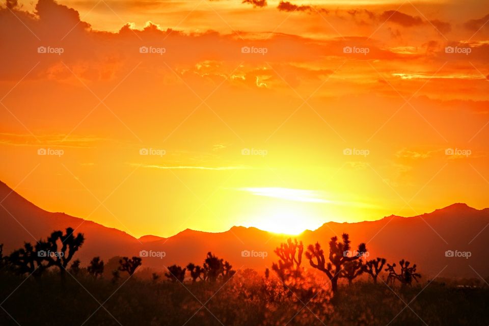 Mojave Desert Sunset