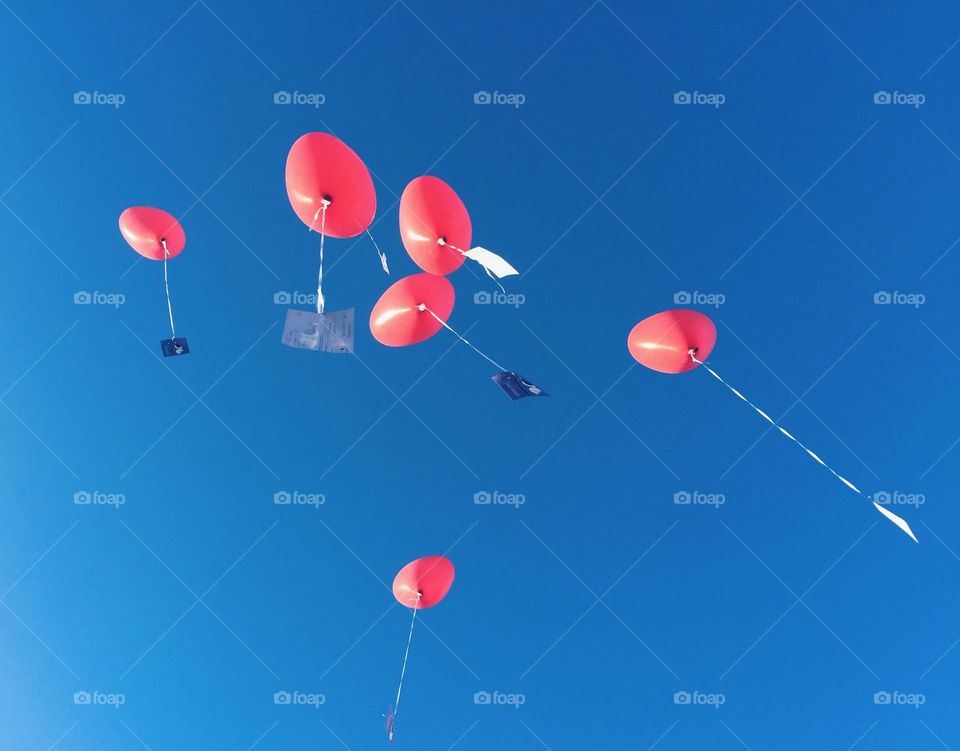 Heart-shaped helium balloons flying into the sky with a message attached to them.