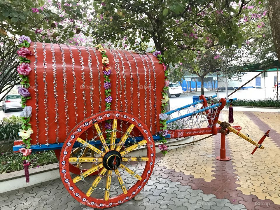 Bullock Cart 