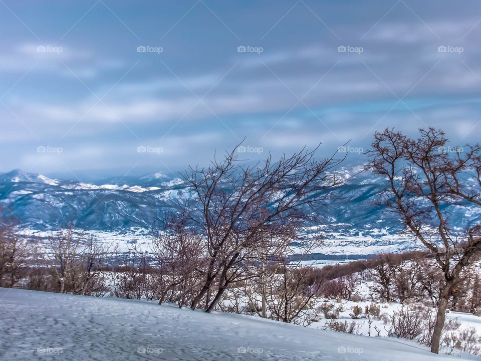 View of valley while snowmobiling, Yampa Valley Colorado