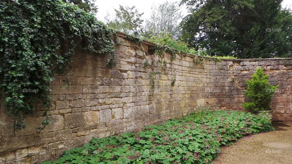 walls