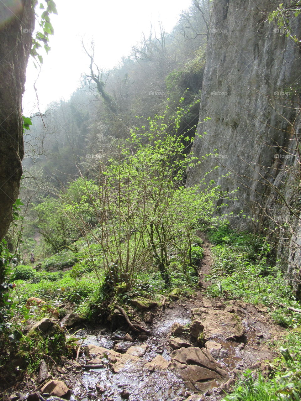 steep climb at ebbor gorge. But well worth the view once at the top