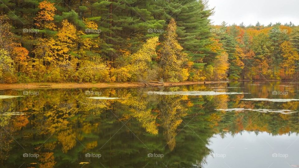 Fall colors at Rocky Woods 