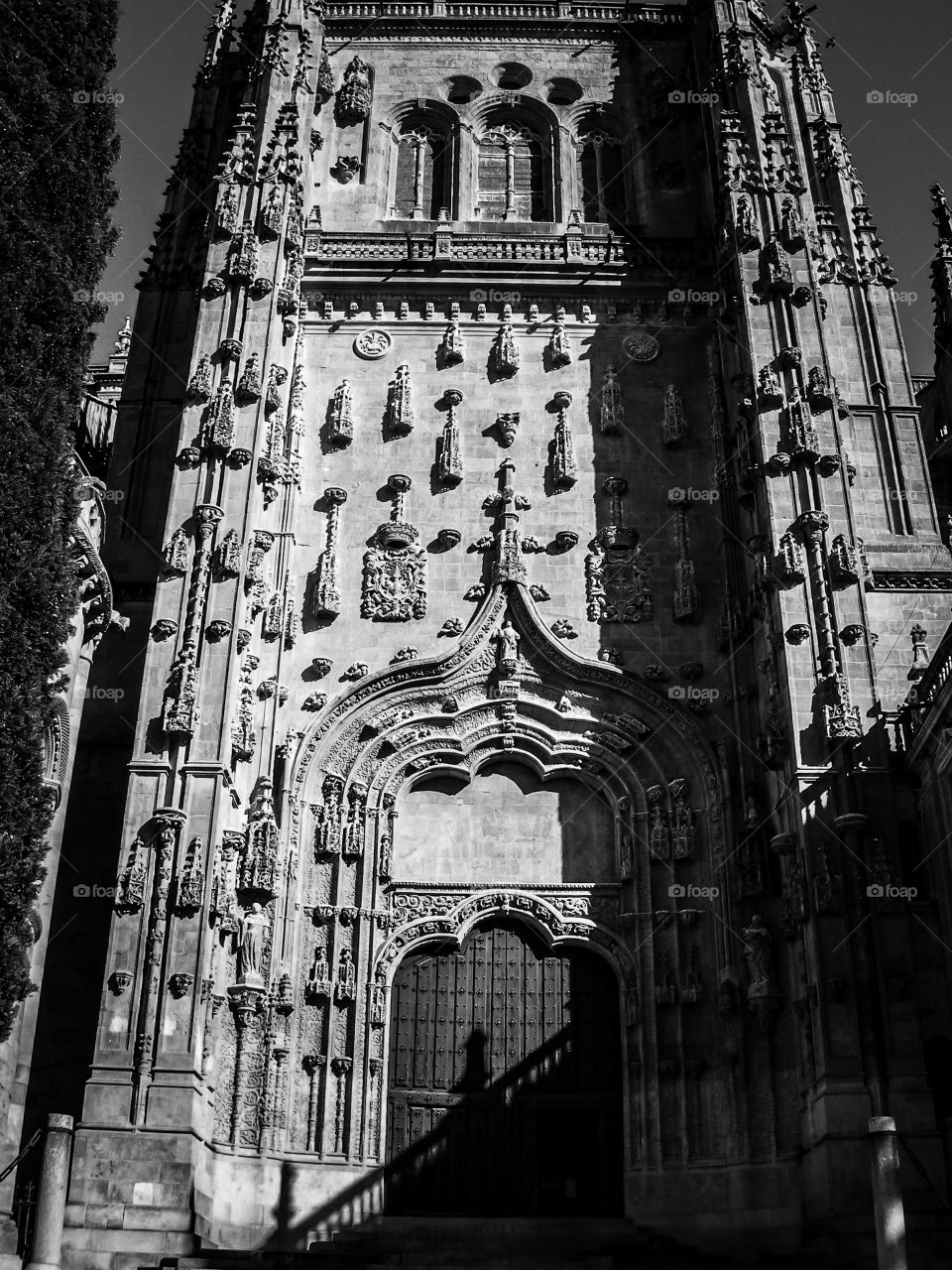 Entrada Catedral de Salamanca. Entrada a la Catedral Vieja de Salamanca (Salamanca - Spain)