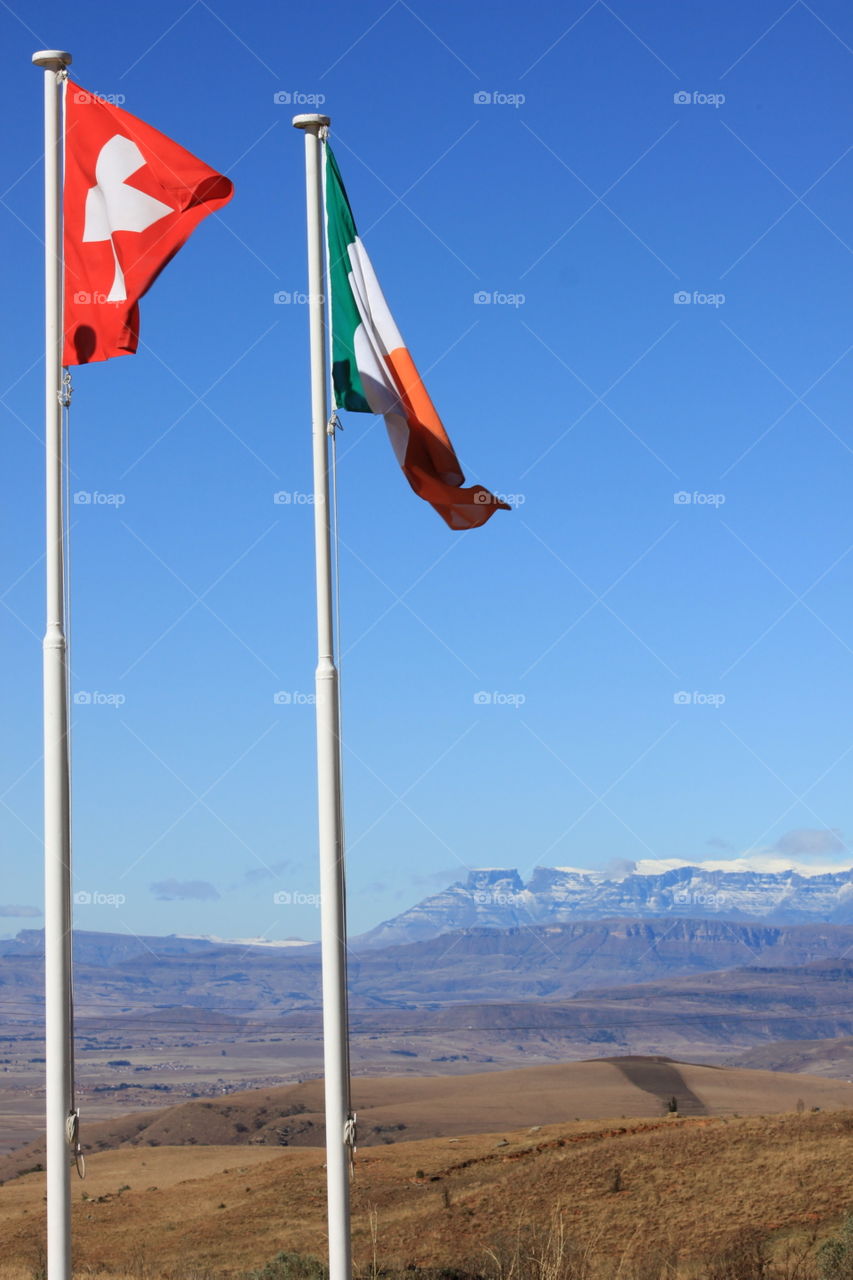 Flags in winter