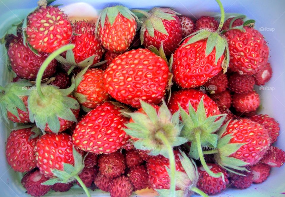 strawberries summer tasty food