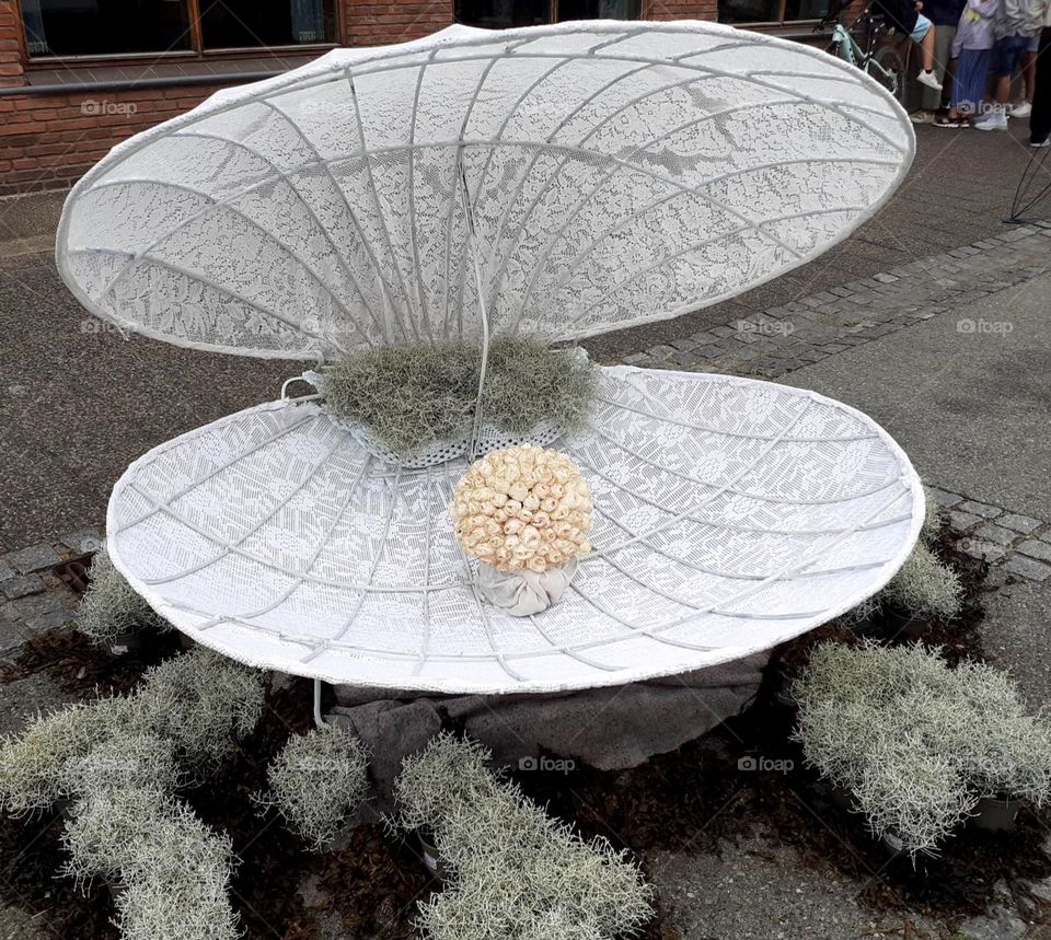 round shell with pearl