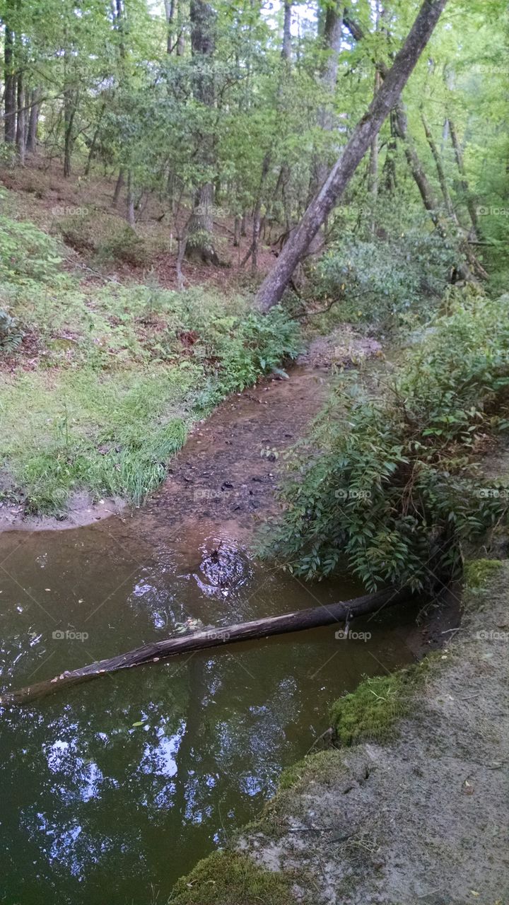 Adventure Time. stumbled upon 