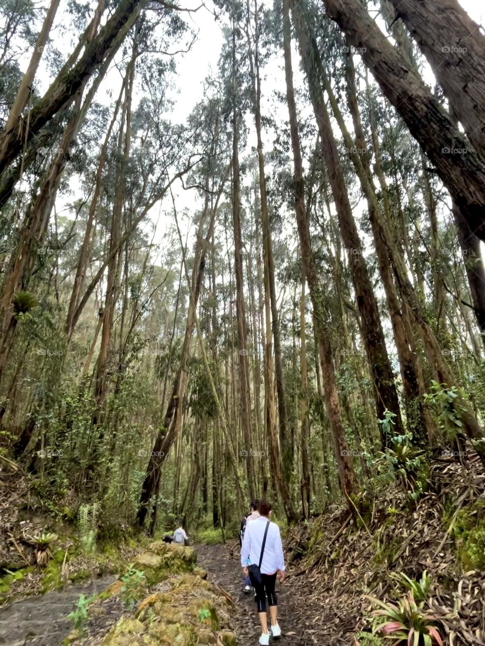 Trekking into the mountains on vacations 