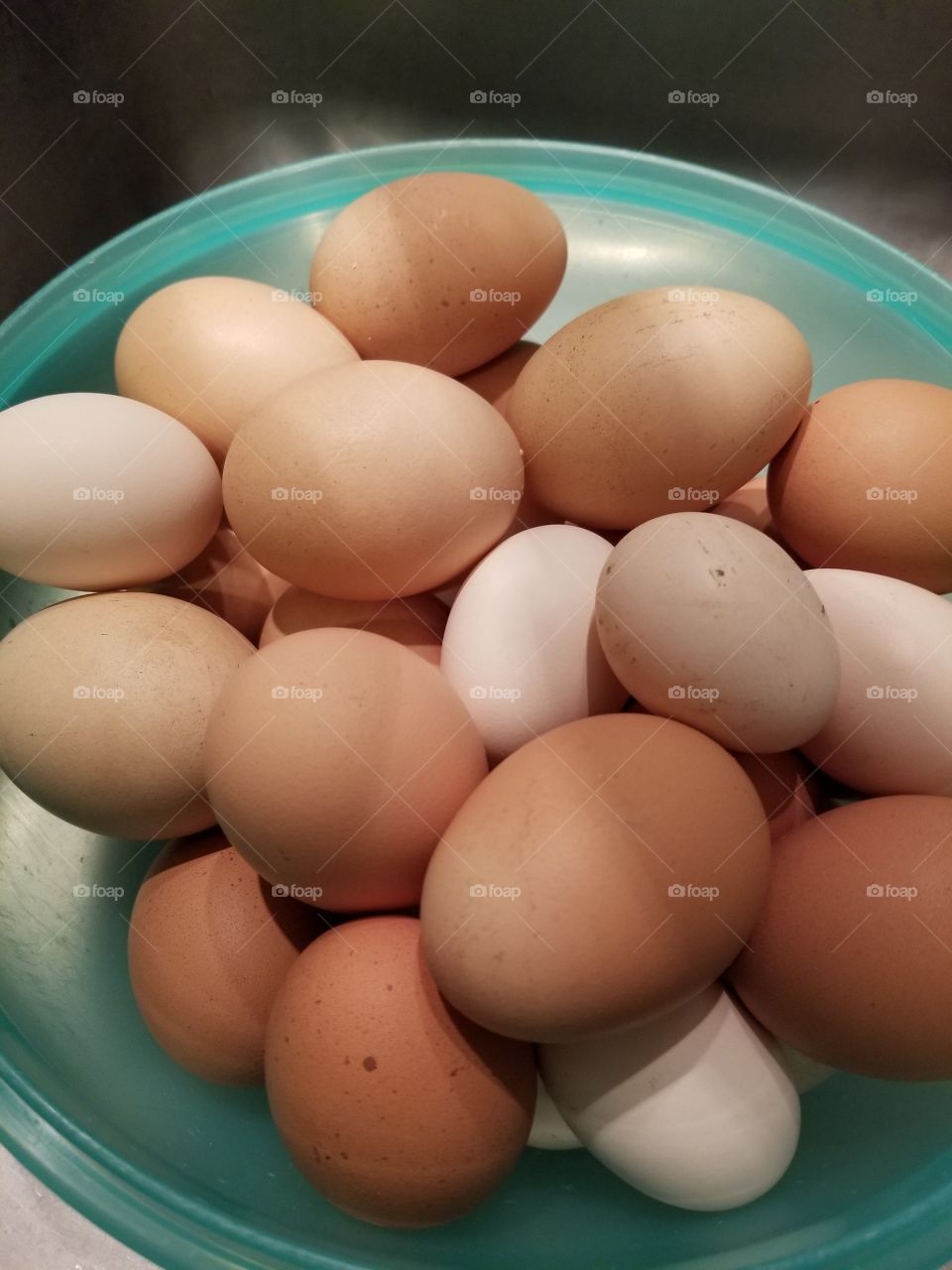 A giant bowl of eggs of all colors. Brown, cream and white eggs. Extra small, small, medium and large eggs. Bantam and ISA brown chicken offspring.