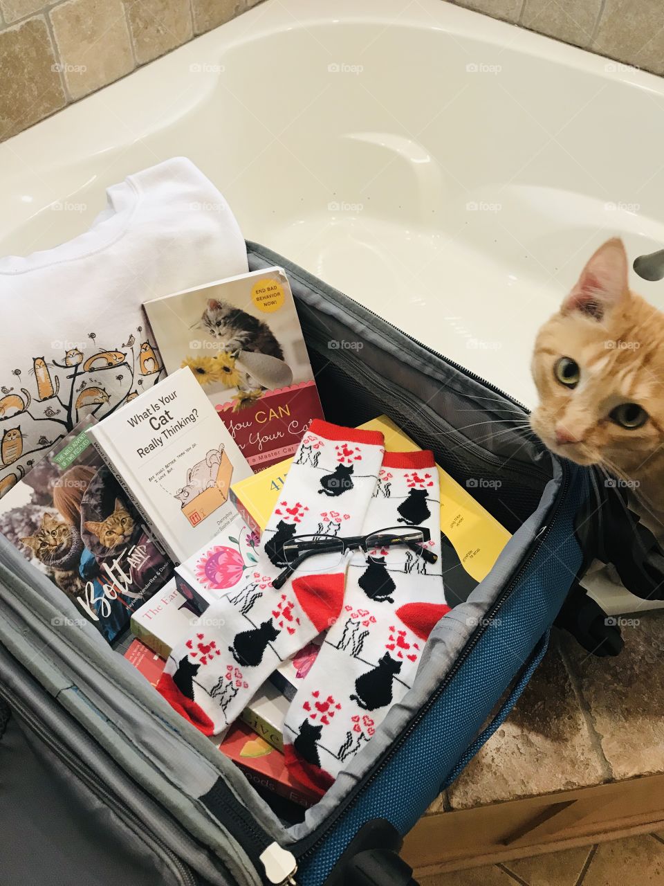 Let’s get ready to travel with best feel good cat reads, reading glasses, and favorite cozy kitty sweatshirt and socks for reading! 