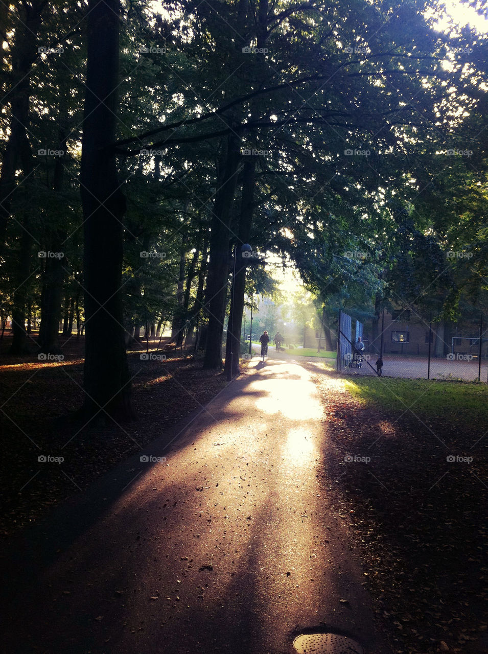 malmö sweden park solnedgång by noel_