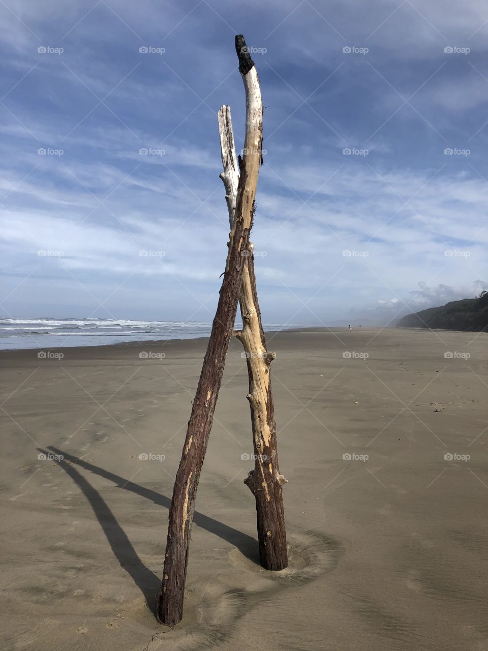 Sticks on the Beach