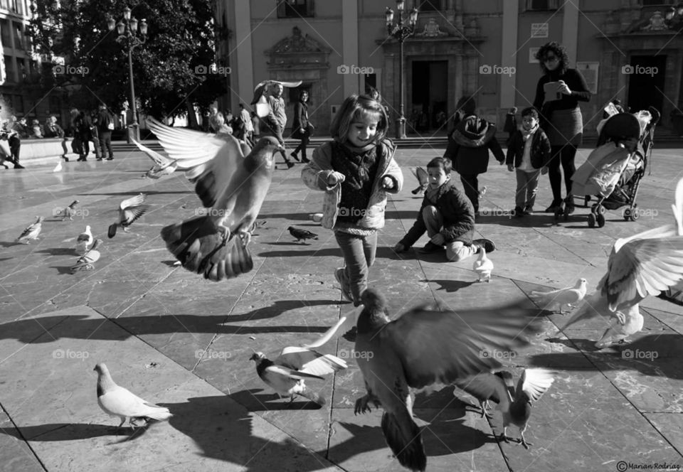 Close-up of pigeons in front of happy girl