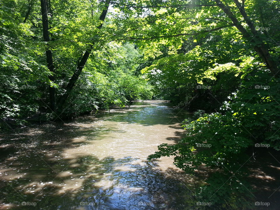 Murky Minneopa Creek