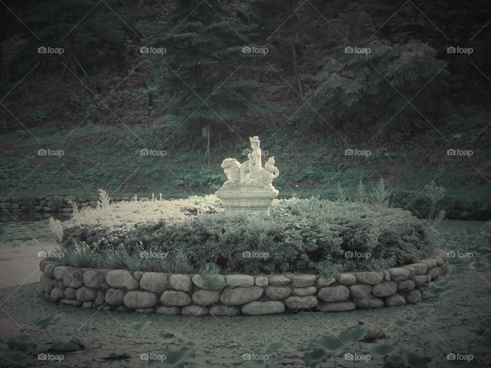 Meet Me at the Dragon's Circle. Sacred Gardens - South Korea