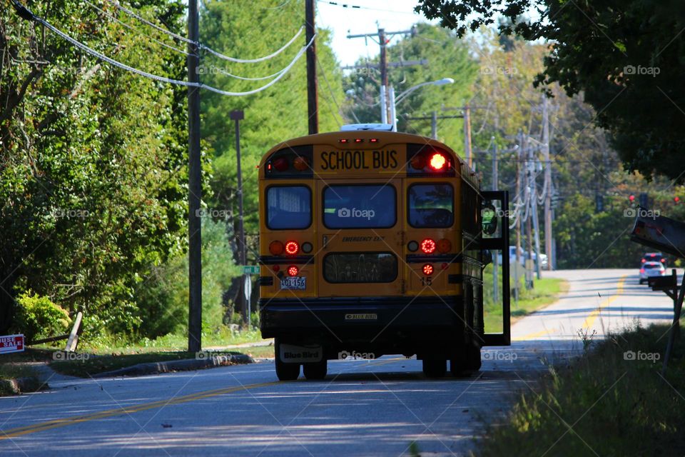 #school bus
