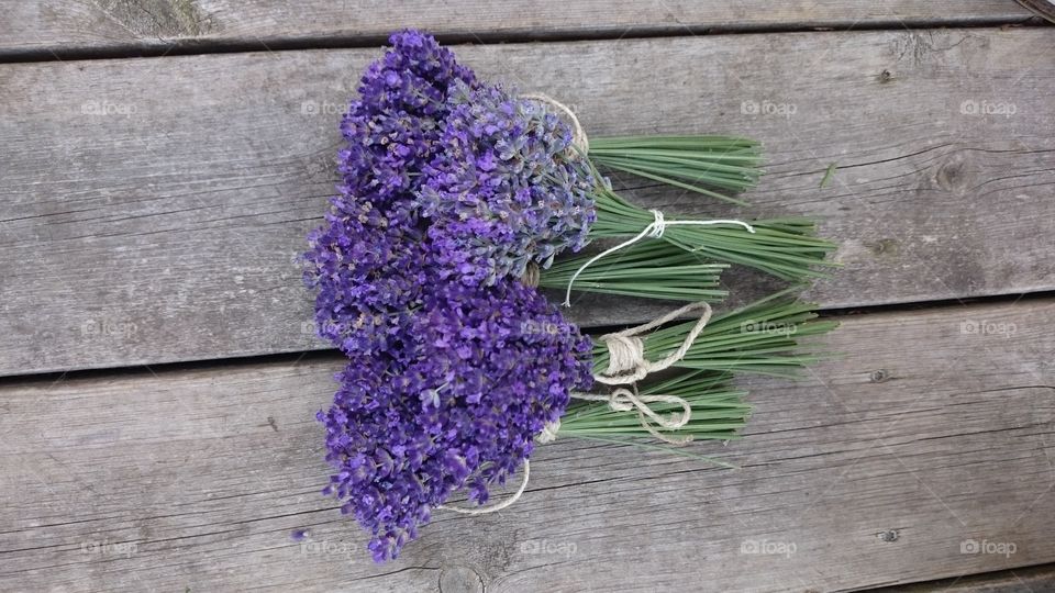 lavendel bouquets