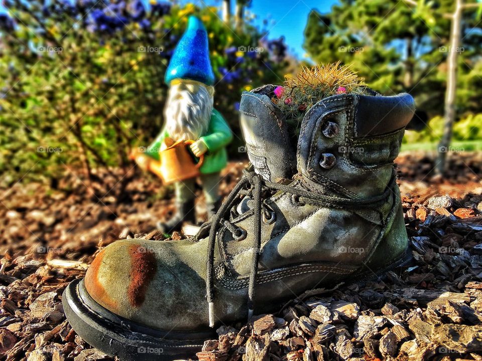 Old boot and garden gnome
