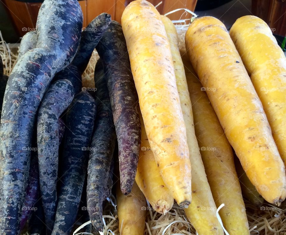 Carrots . Side by side