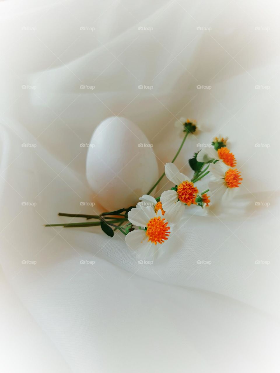 EGG AND FLOWER