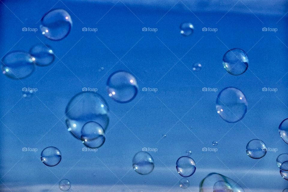 Bubbles 