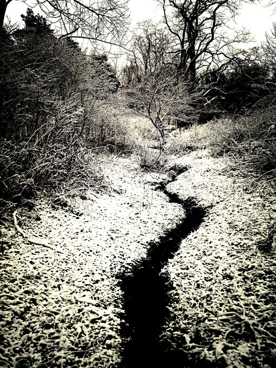 Winter Pattern. Streambed pattern after snow