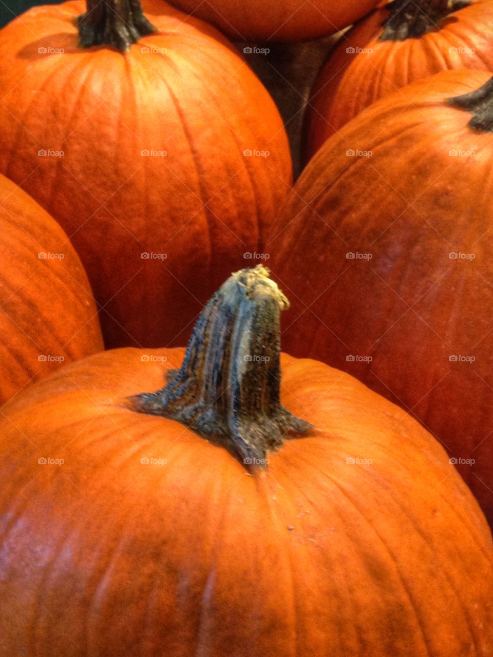 Pumpkins. Halloween