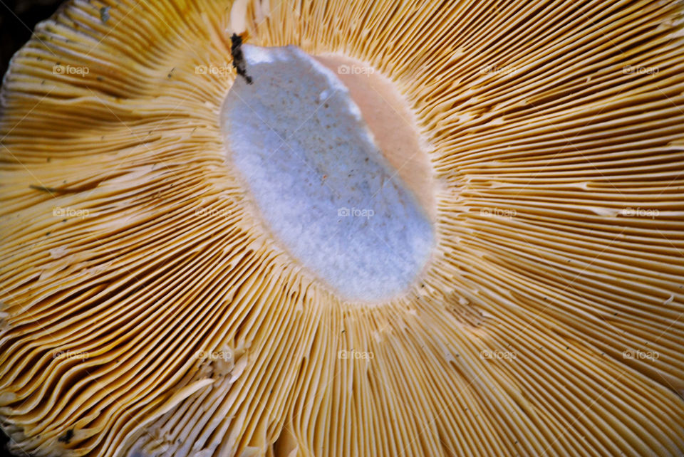 Exploring Switzerland