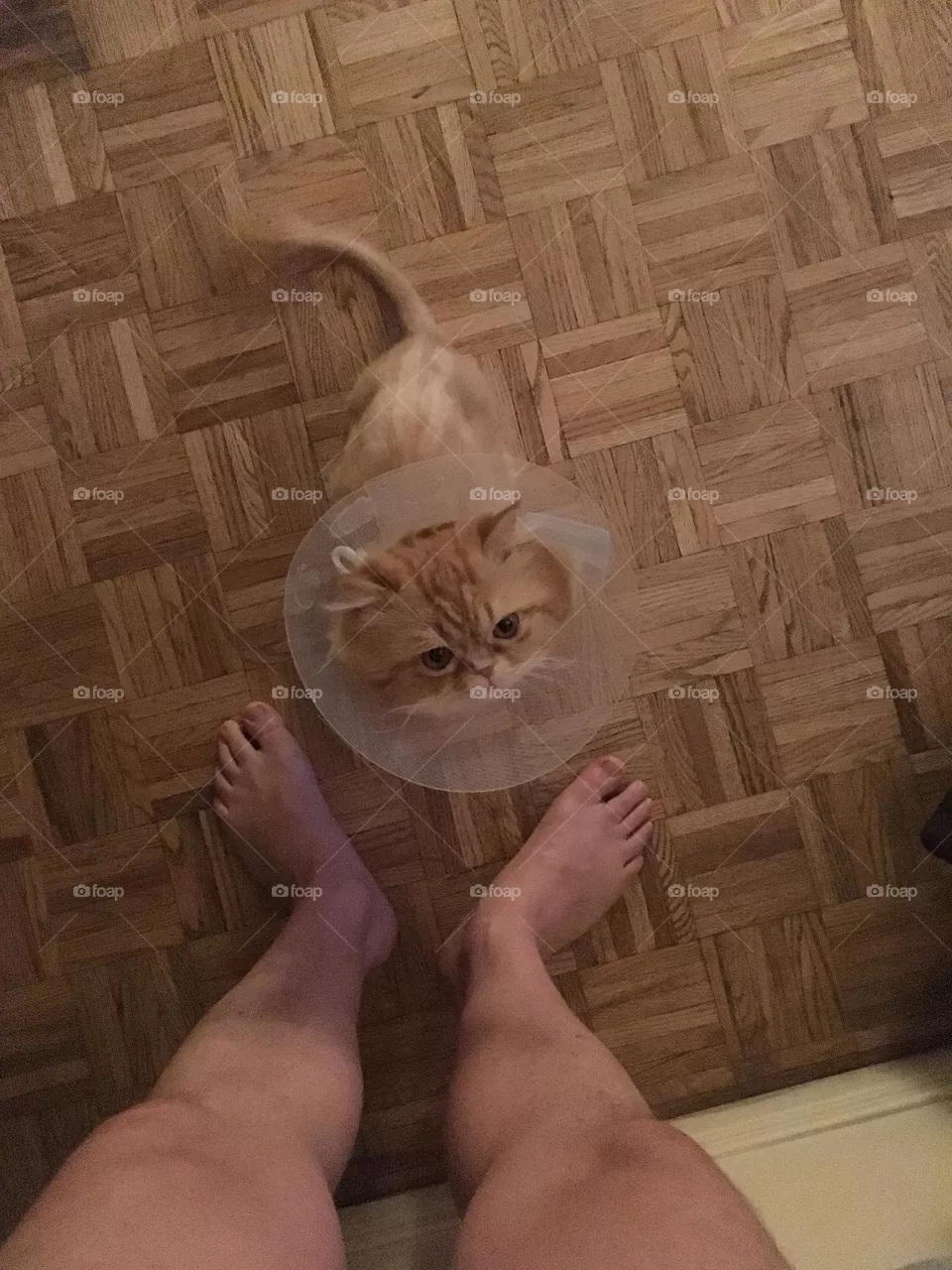 I hate you 