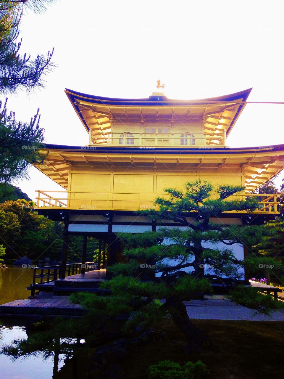 O famoso e incrível kinkakuji um pequeno castelo folhado a ouro em Kyoto Japão!