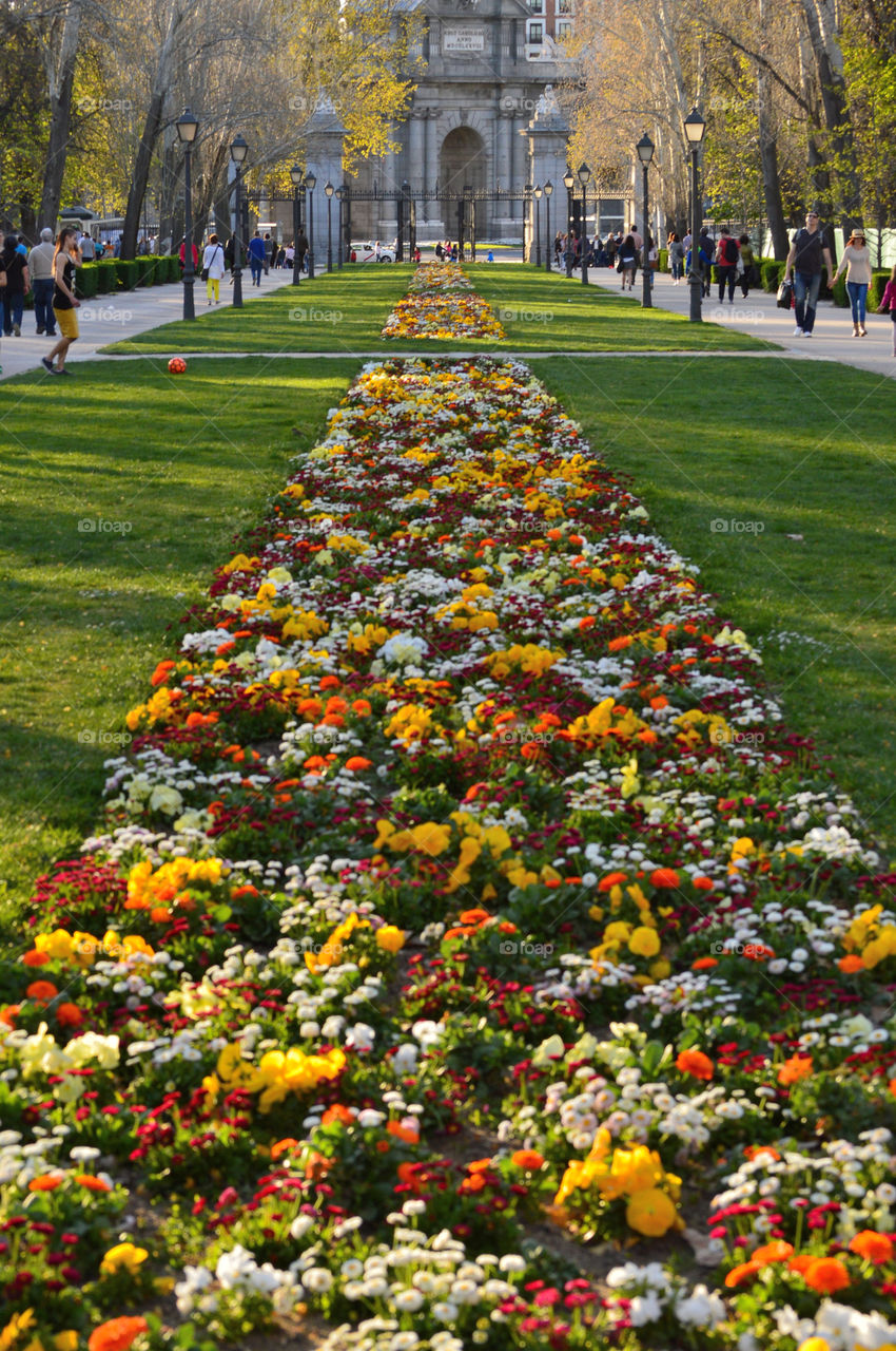 Buen Retiro Park is one of the largest parks in the city of Madrid.