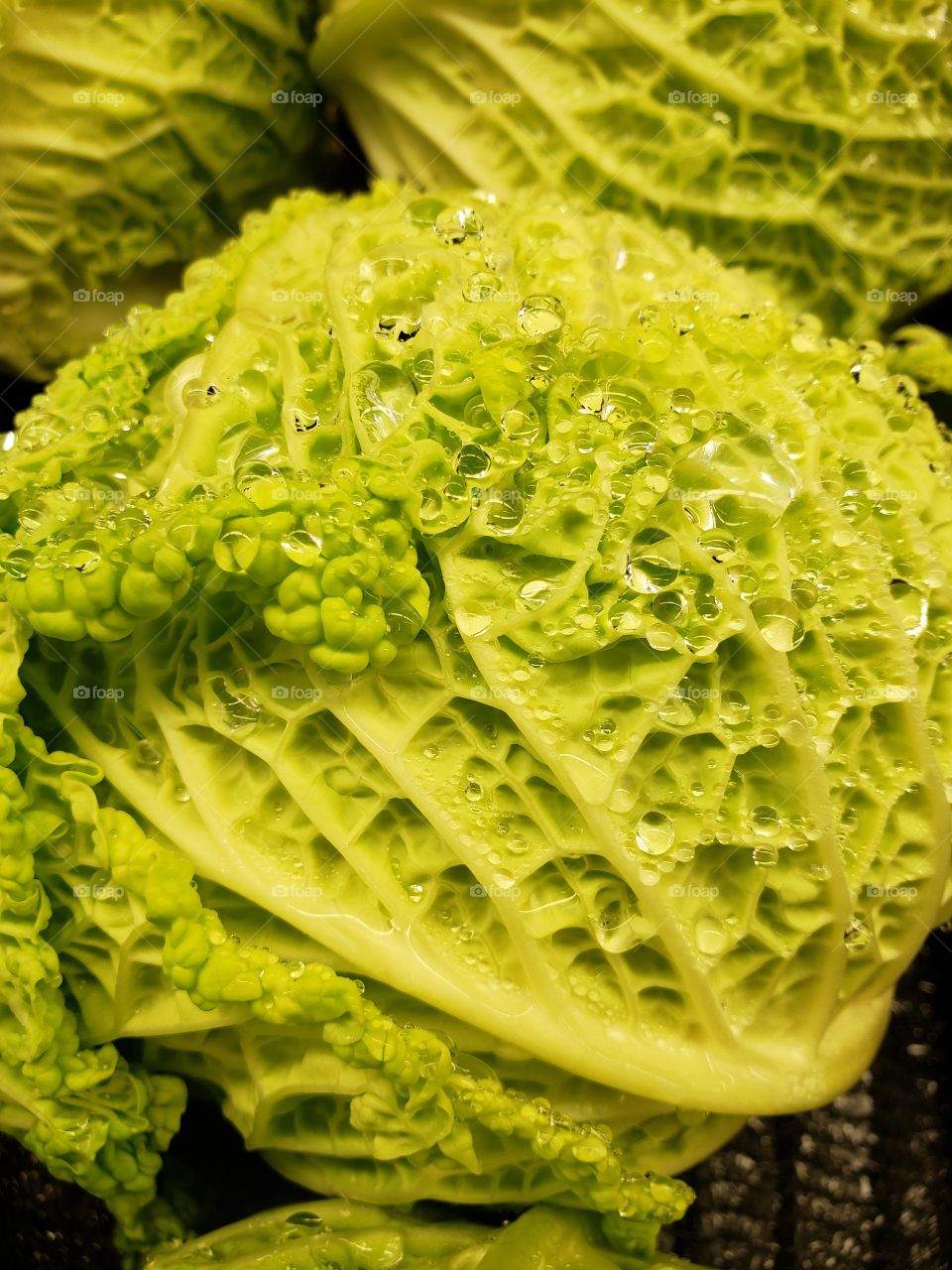 green cabbage.